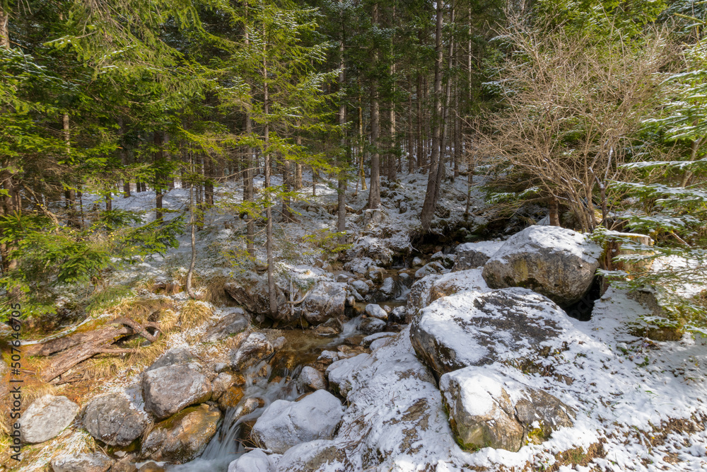 mountain river in the forest (Lake Achensee, Tyrol, Austria)