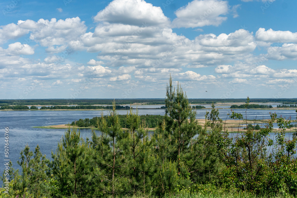 Pine trees against the view on Dnipro in Vytachiv, Ukraine