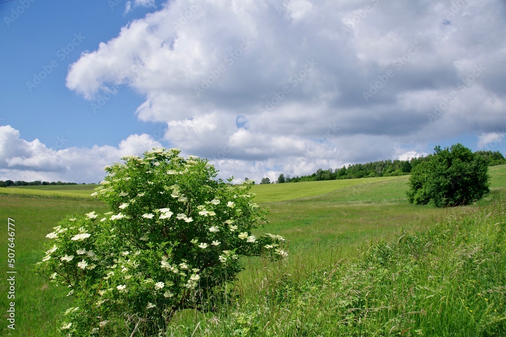 Landschaft 