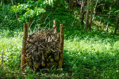 Benjeshecke aus Schnittgut von Gehölzen als natürlicher Unterschlupf auf einer Waldlichtung aufgebaut 