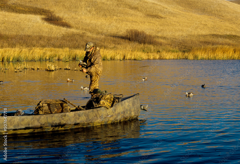 Obraz premium A waterfowl hunter setting decoys in the shallows 