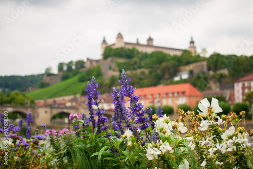 Marienberg Fortress upon a vineyard hill above the Old Bridge and Main river seen from the other site of the river through colorful blooming summer or spring flowers
