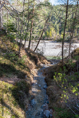 river in the forest