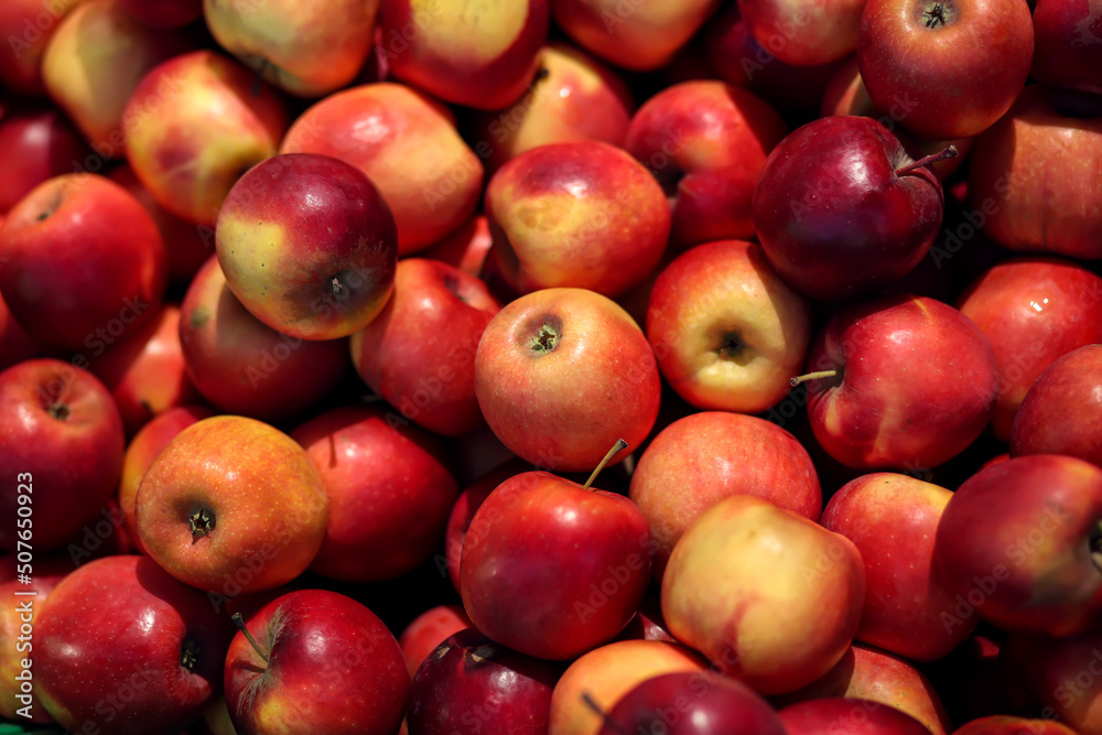 Red apples background. Fresh apples for sale Red apples background. Fresh apples for sale