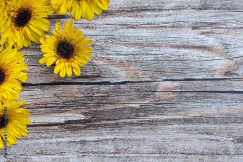 Wooden surface and sunflowers flat lay with copy space.