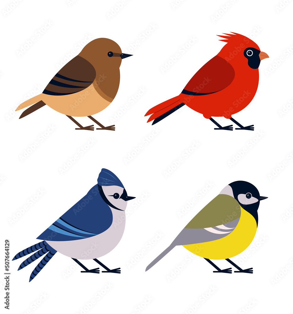 Set Of Different Beautiful Birds Vector Illustration In Flat Style Set Of Different Beautiful Birds Vector Illustration In Flat Style