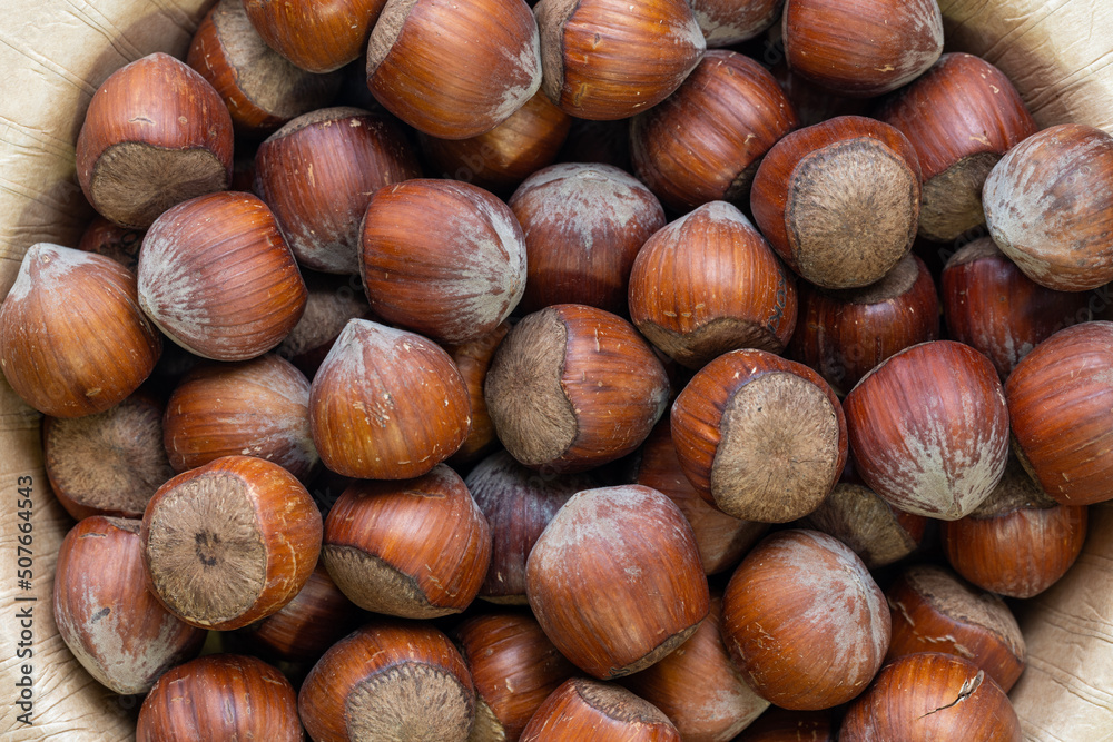 hazelnut in a wooden bowl close up hazelnut in a wooden bowl close up