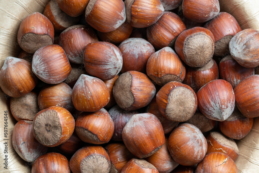 hazelnut in a wooden bowl close up hazelnut in a wooden bowl close up