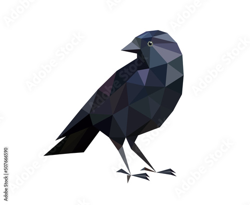 Rook bird low poly design isolated on white background
