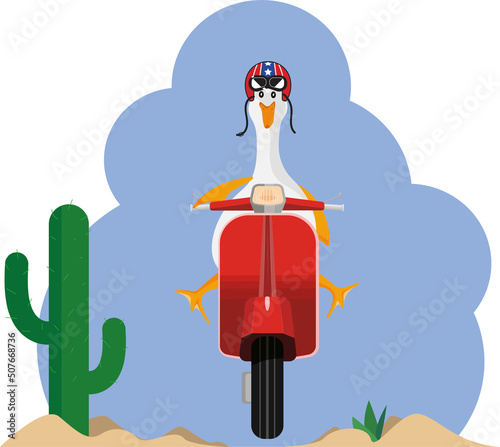 Duck on a motorcycle