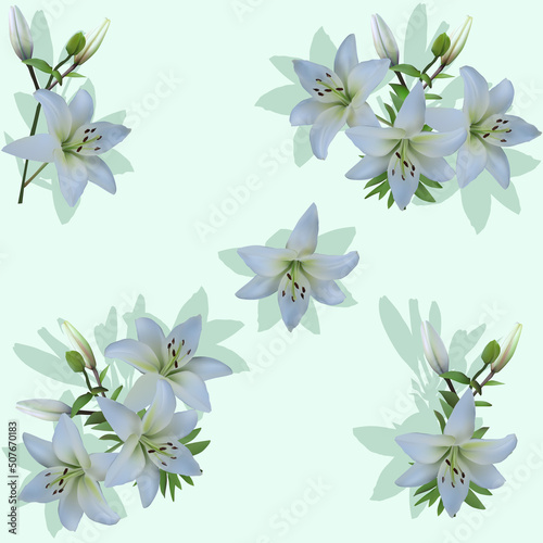 group of lily flowers isolated on light background