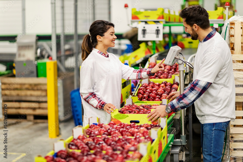 Two happy workers measuring apples on scales on conveyor belt in factory. Two happy workers measuring apples on scales on conveyor belt in factory.