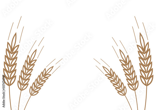 Wheat on white background. Wheat vector. wallpaper. free space for text. copy space. Wheat frame.