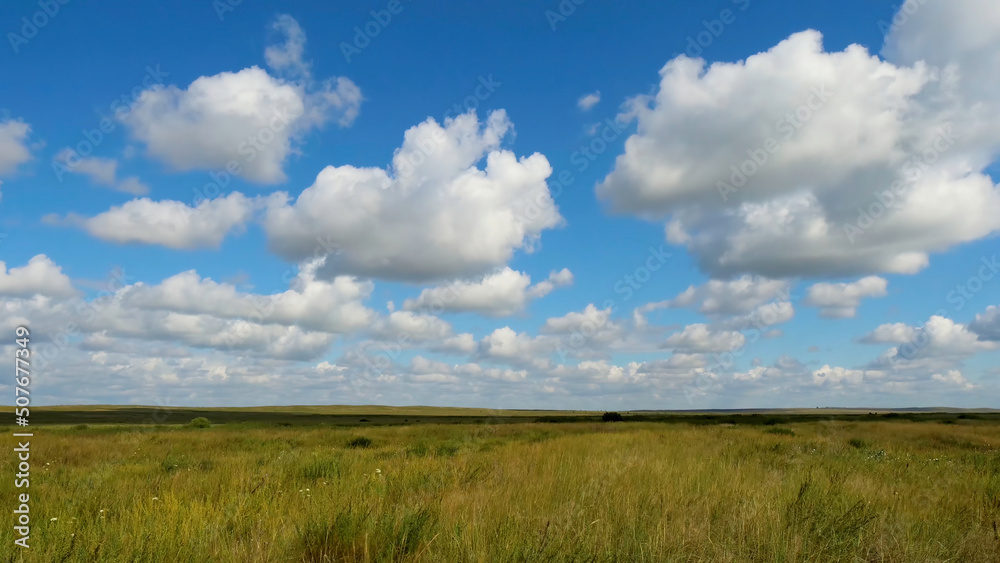 Green field summer landscape, timelapse. Clouds and blue sky field