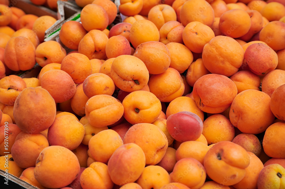 freshly picked apricots on a french market stall