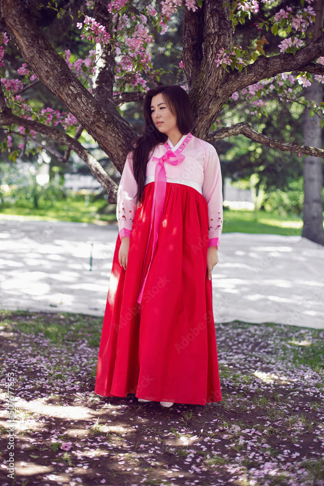 portrait young woman a Korean bride in national costumes stand by cherry blossom tree in spring