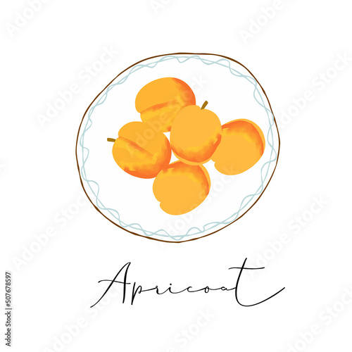 Illustration of a plate of apricot on a white background