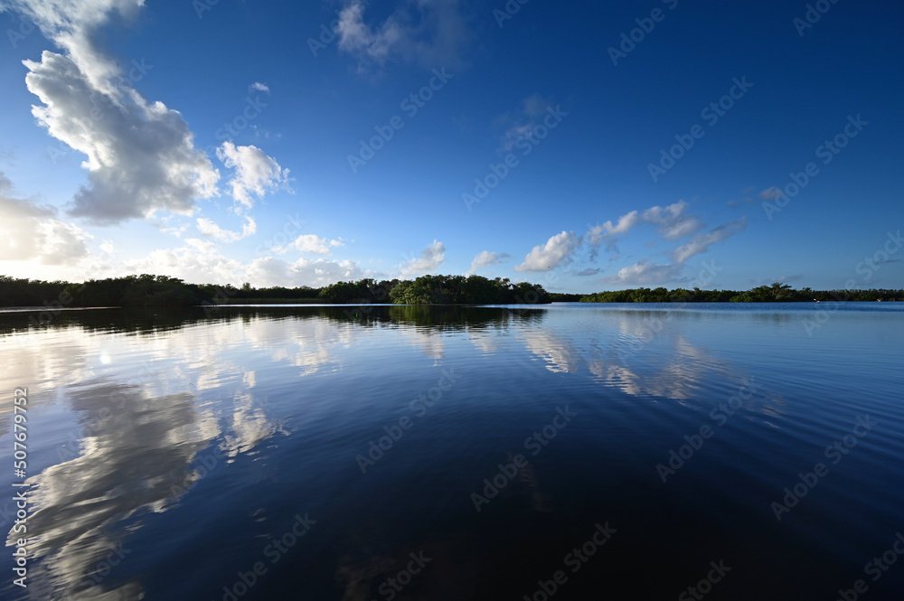 Afternoon cloudscape reflected on calm water of Paurotis Pond in Everglades National Park, Florida.