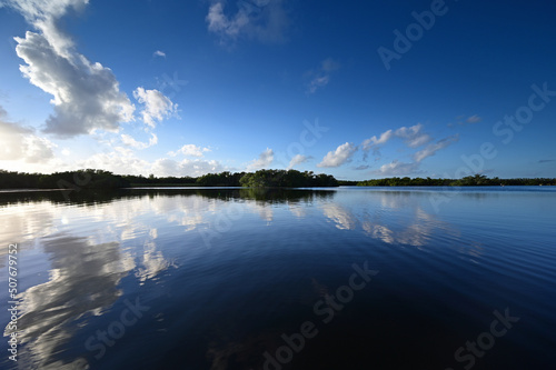 Afternoon cloudscape reflected on calm water of Paurotis Pond in Everglades National Park, Florida.