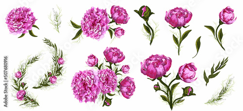 decorative elements, pink flower, peony branch. hand-drawn doodles in a realistic style. modern decor details for decoration, Wallpaper, isolated on a white background.