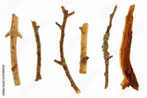 Collection of dried branches on white background