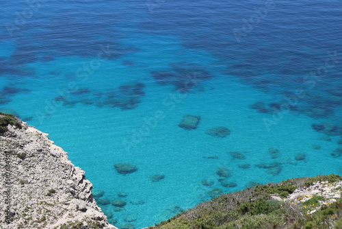 coral reef in the sea photo