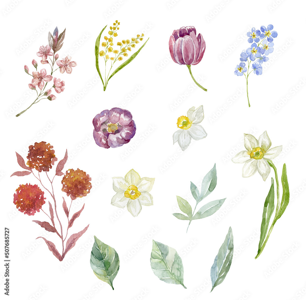 Set of watercolor flowers and leaves on white background.