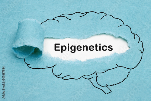 Epigenetics Drawn Human Brain Concept photo