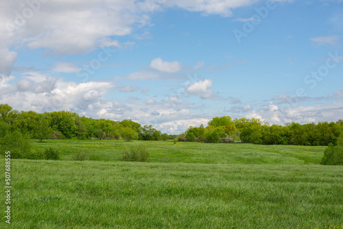 Summer landscape, green field under blue sky with white clouds © Dana