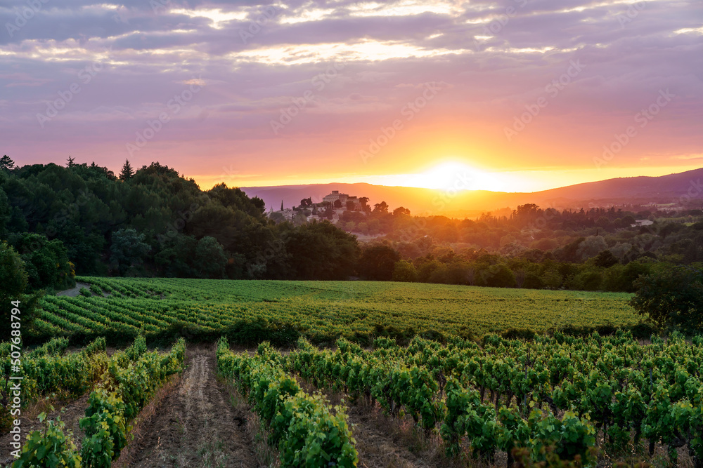 Vignoble en Provence en printemps, France; Luberon. Coucher de soleil. Village Ansouis en arrière plan.
