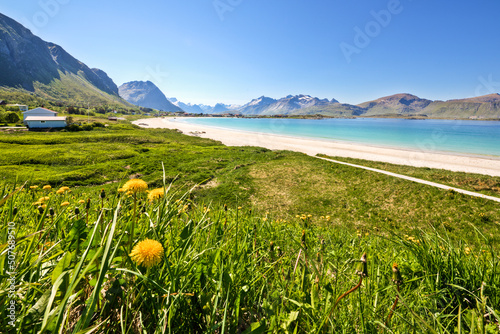 karibisch weißer Strand Ramberg auf den Lofototen photo