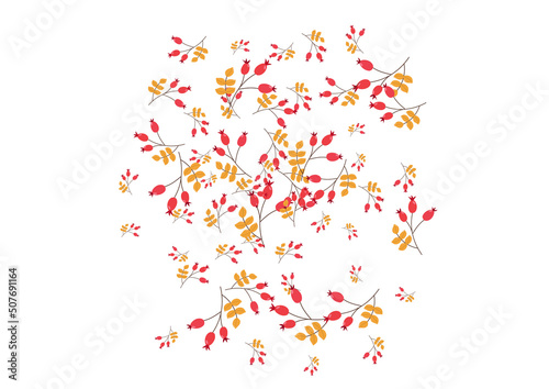 Red Foliage Background White Vector. Berries Autumn Frame. Pink Herb Agriculture. Nature Design. Leaf Object.