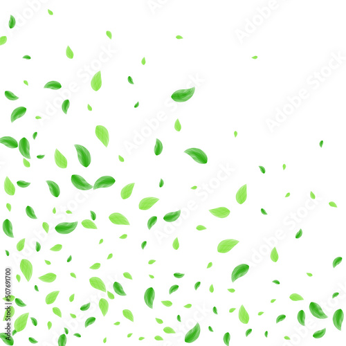 Green Sheet Background White Vector. Foliage Vivid Frame. Growing Illustration. Greenish Spring Texture. Vegetation Pattern.