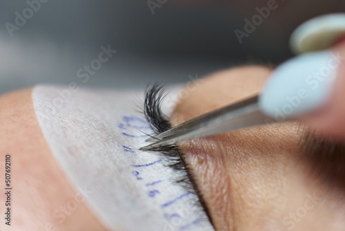 close-up of thin tweezers holding the cilia highlighting one to stick a bunch of lash extensions to it. eyelash extensions.. beauty workshop
