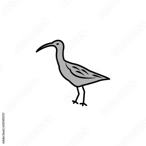 curlew line icon. signs and symbols can be used for web, logo, mobile app, ui, ux photo