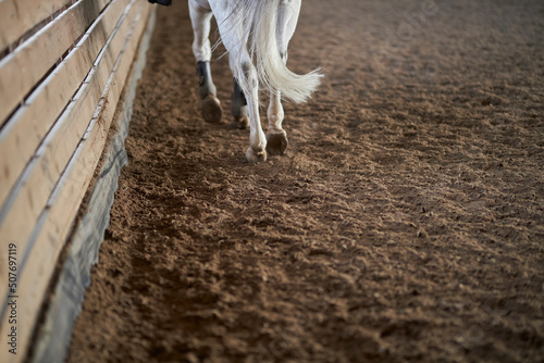 hooves of a gray horse in the arena, close-up