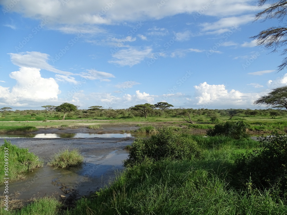 Naturlandschaft
Serengeti