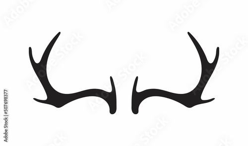 Fotografia, Obraz Deer antlers vector