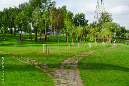 Fototapeta Naklejka Na Ścianę i Meble -  Urban landscaping with perennials in a landscape park