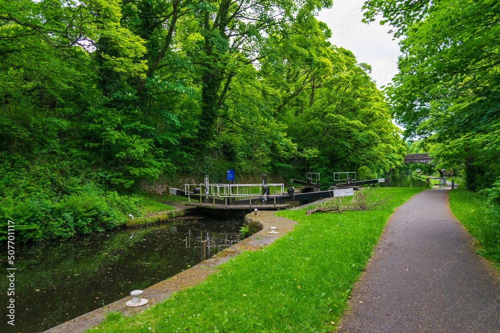 Fototapeta premium Canal in the forest