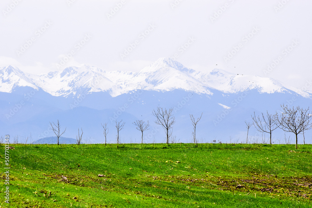 Fototapeta premium Beautiful landscape view a panoramic view of the Retezat mountains, Carpathians, Romania. View of the snowy peaks behind the colorful fields.