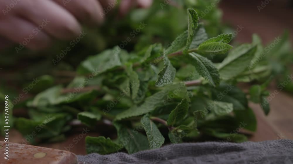 Close up of hands cutting fresh mint leaves into slices with a sharp knife. Indoor in the kitchen, no face video.
