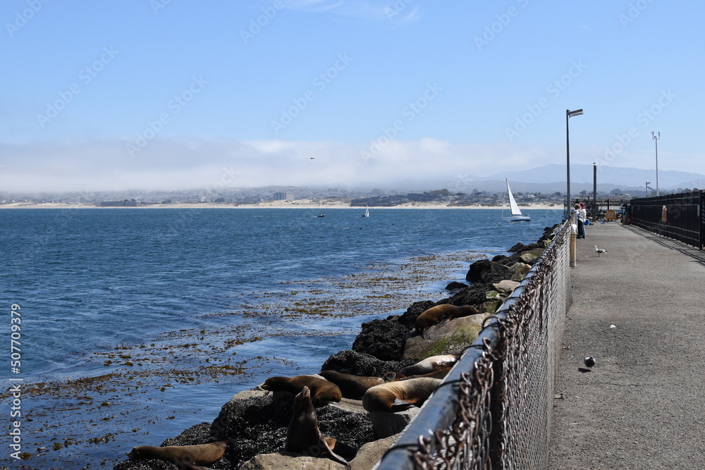 Monterey Pier