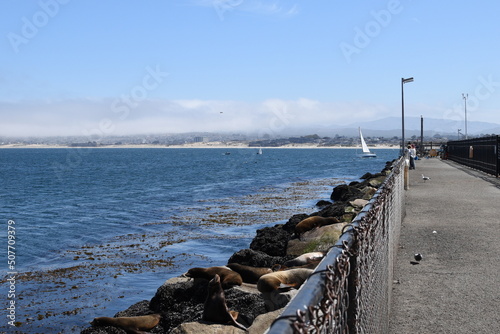 Monterey Pier