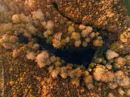 Aerial Drone view of colorful top of the forest and a lake at Autumn