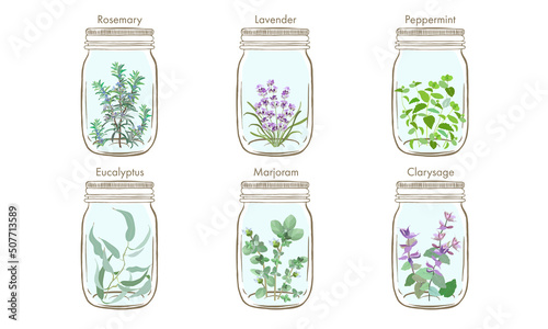 ジャーに入ったハーブ・芳香植物・草花・ローズマリー・ラベンダー・ユーカリ・クラリセージ