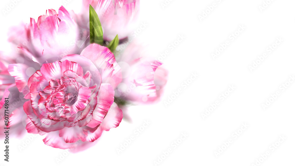Roses on white background. 3D rendering