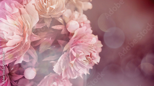 Fototapeta Naklejka Na Ścianę i Meble -  Carnations with blurred foreground. 3D rendering