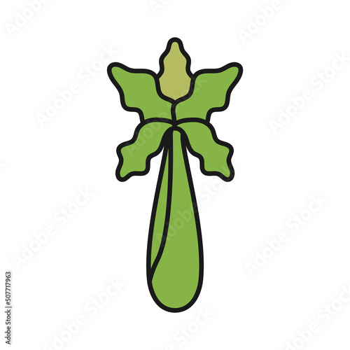 celery icon design template vector illustration photo