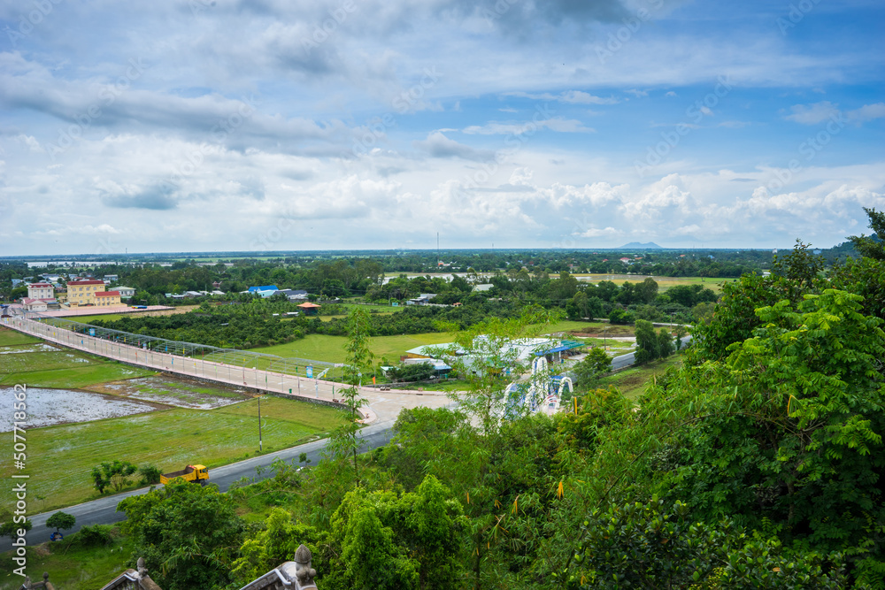 Aerial view of fresh green and yellow rice fields and palmyra trees in Mekong Delta, Tri Ton town, An Giang province, Vietnam. Ta Pa rice field.